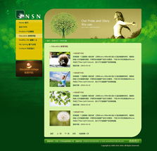 尚丞設計案例分享 美國NSN產品網站建設與互動設計