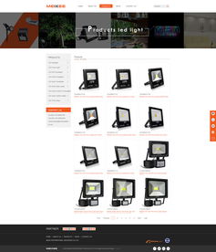 從民治到深圳 一站式數字解決方案，助力歐美克照明照亮全球市場