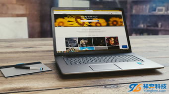 東莞寮步營銷型網站建設與專業軟件開發服務商選擇指南